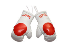 Japan/Japanese Mini Boxing Gloves