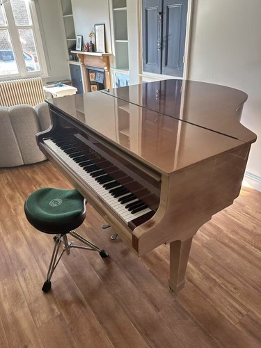 Grand piano - grand,