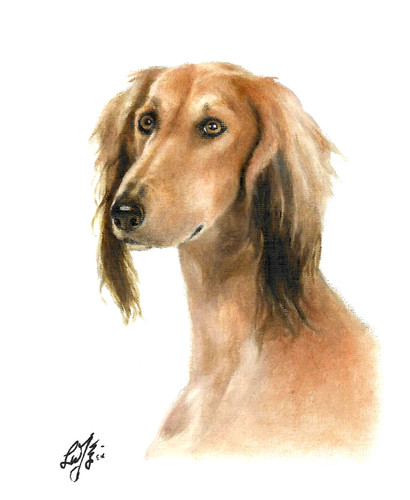 Original oil portrait - ✿,