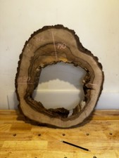 Italian walnut  cookies,disk