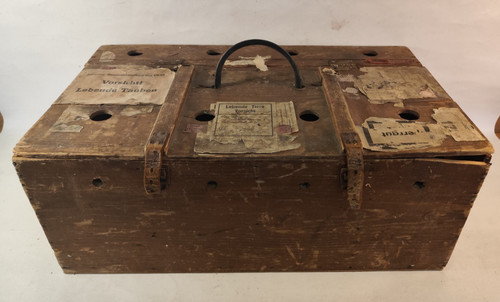 Old pigeon quail - old, box