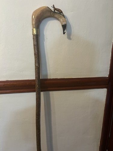 Shepherds crook - shepherds,