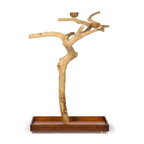 Java wood tree large - -,