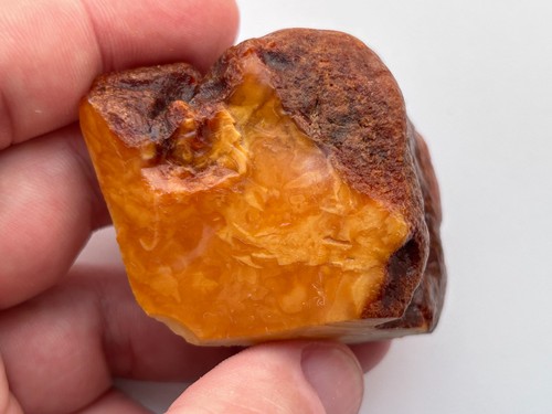 Natural royal baltic amber - natural,