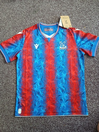 2024 crystal palace fc - 2024-25,