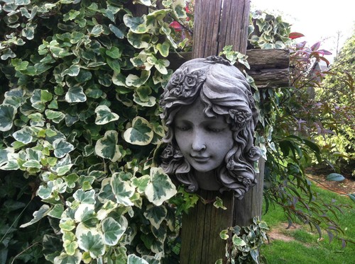 Rose girl wall tree - (new),