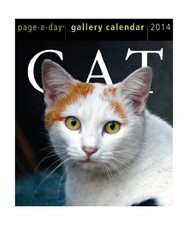 Cat Gallery Calendar