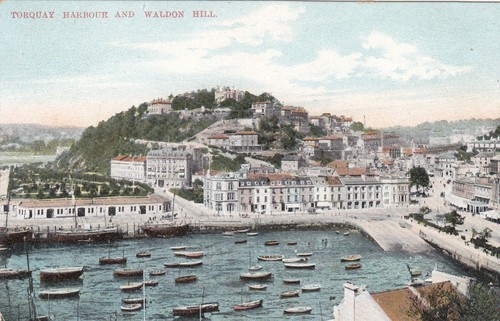 Postcard torquay harbour - torquay,