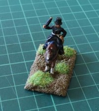 Napoleonic Wars 25mm British