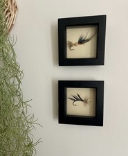 Pair framed decorative - pair,