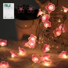 Flower Fairy String Lights,2M