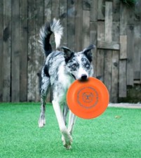 Dog Toy Flying Disc Pet
