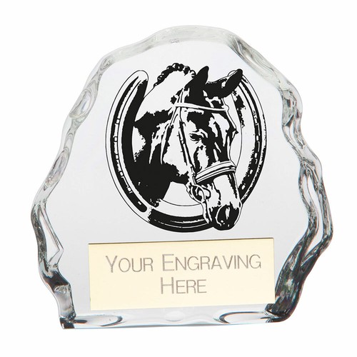 Horse equestrian trophies - horse/equestrian,