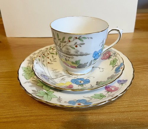 Vintage plant tuscan china - plant,