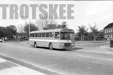 35mm Black and White Negative