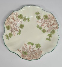 Shelley fine bone china 12967