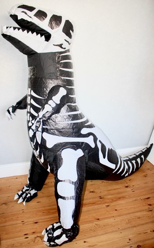 Childs inflatable dinosaur - childs,