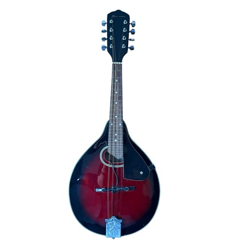 Blue moon electro acoustic - electro,