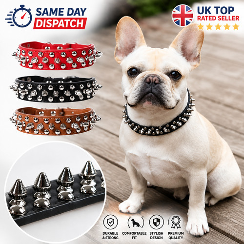 Adjustable spiked studded - spiked,