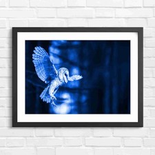 Flying Barn Owl Night Forest