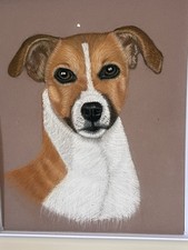 JACK RUSSELL Pastel Drawn Dog Portrait Painting A4