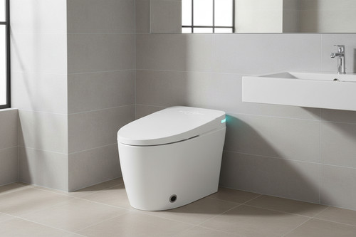 Smart toilet bidet wash dry - smart,