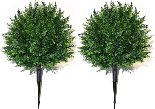 Set resistant cedar - set, uv
