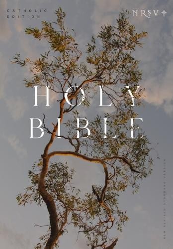 Nrsv catholic edition bible - edition,