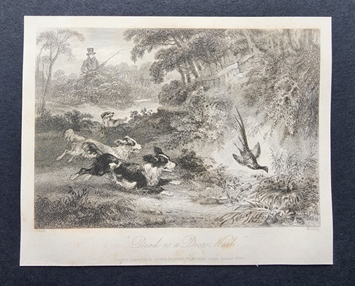 Antique 1846 print shooting - 1846,