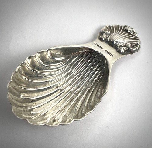 Solid silver sterling shell - solid,