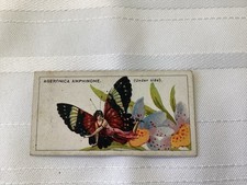 British American Tobacco