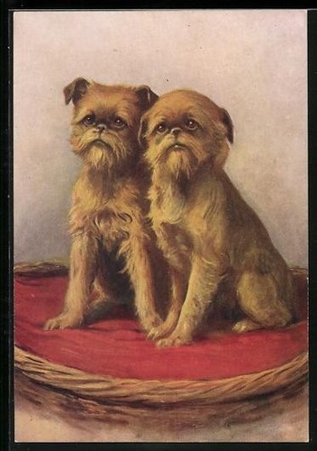 Postcard the griffon - the,
