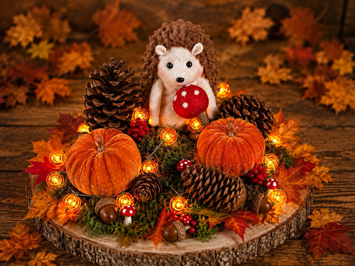 Handmade autumn hedgehog - handmade,