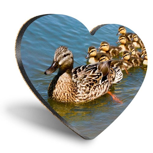 Heart mdf coaster mallard duck - coaster,