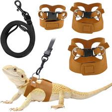 Bearded Dragon Leash Harness
