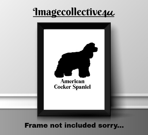 American cocker spaniel a4 - american,