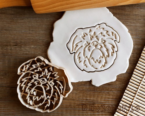 Griffon bruxellois dog cookie - bruxellois,