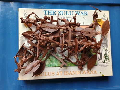 Acalltoarms zulus 12 - acalltoarms,
