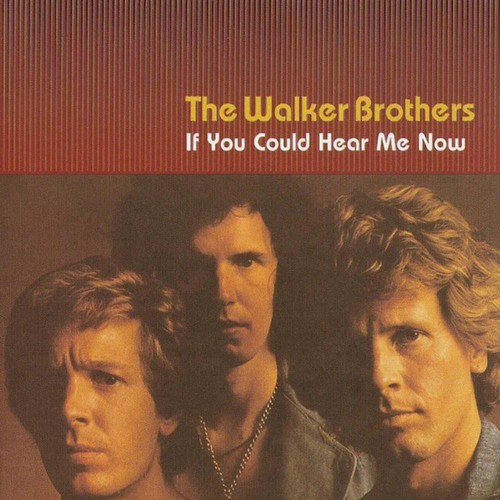 The walker brothers if - brothers,