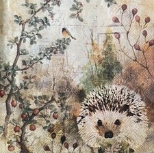2 X Hedgehog Single Paper