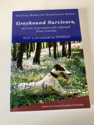 Greyhound survivors stories - greyhound, survivors: