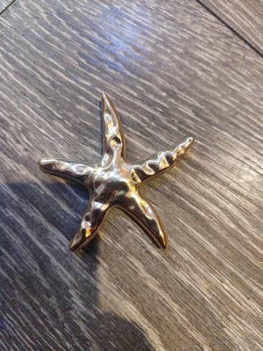 Starfish shaped shell - starfish,