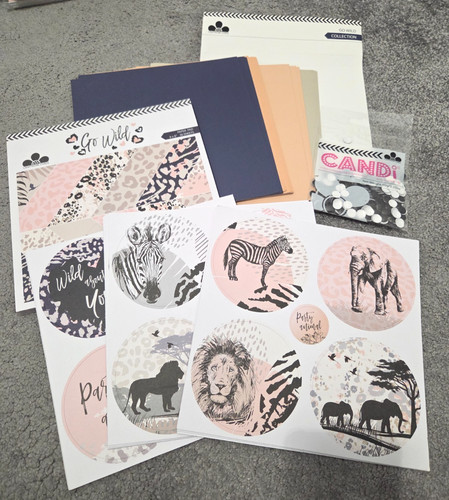 Craftwork cards wild card - cards,