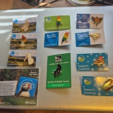 RSPB PIN BADGE 11 x Assorted