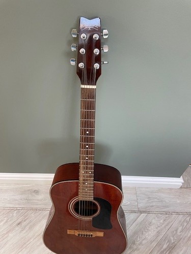 Washburn br acoustic - washburn,