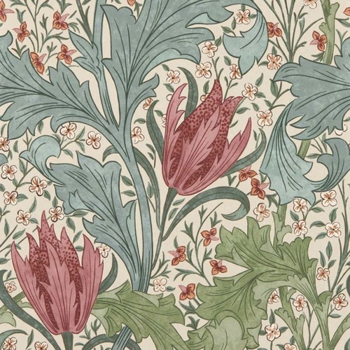 Morris lent lily - &,