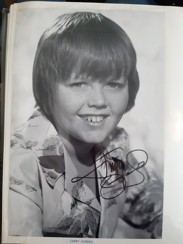 Jimmy osmond signed photo - osmond,