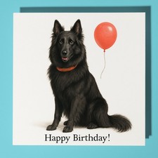 Belgian Shepherd Dog Happy