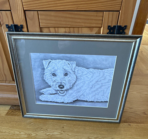 West highland white terrier - highland,