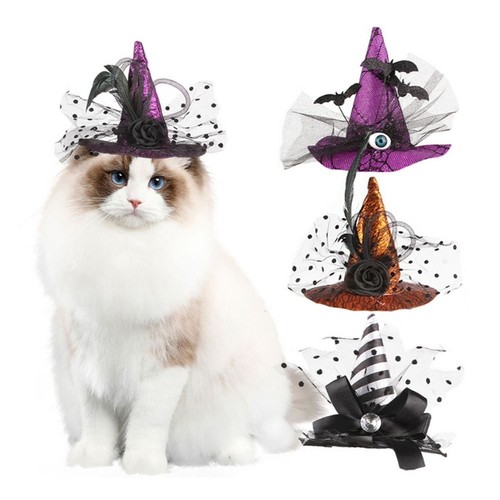 Halloween pet witch hat - halloween,